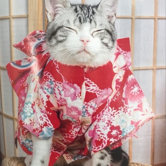 katkimonos